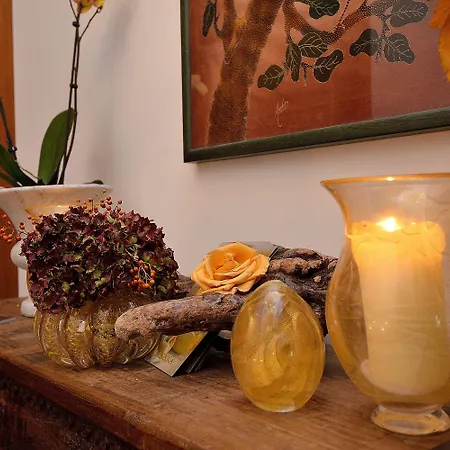 伊纳斯住宿加早餐别墅 住宿加早餐酒店 4*