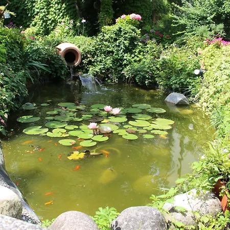 伊纳斯住宿加早餐别墅 住宿加早餐酒店